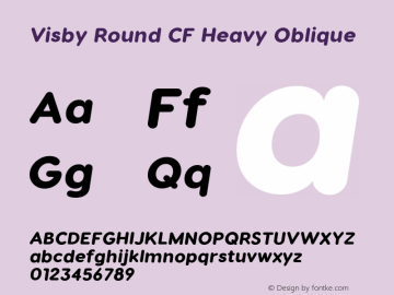 Visby Round CF Heavy Oblique Version 2.200;FEAKit 1.0图片样张