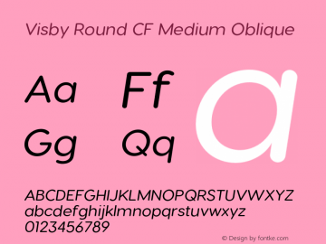 Visby Round CF Medium Oblique Version 2.200;FEAKit 1.0图片样张