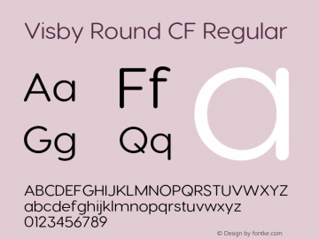 Visby Round CF Regular Version 2.200;FEAKit 1.0图片样张