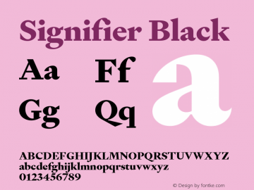 Signifier Black Version 1.006图片样张