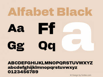 Alfabet Black Version 3.000;FEAKit 1.0图片样张