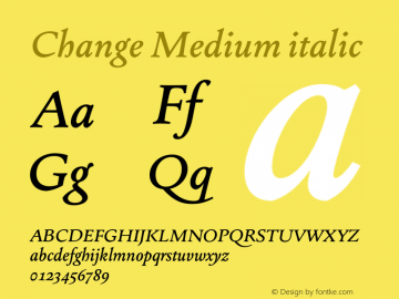 Change Medium italic Version 3.000;FEAKit 1.0图片样张