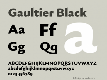 Gaultier Black Version 1.000;hotconv 1.0.109;makeotfexe 2.5.65596图片样张