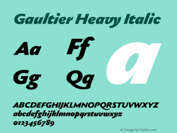 Gaultier Heavy Italic Version 1.000;hotconv 1.0.109;makeotfexe 2.5.65596图片样张