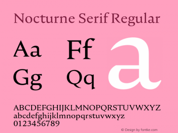 Nocturne Serif Regular Version 1.000;PS 001.000;hotconv 1.0.88;makeotf.lib2.5.64775图片样张