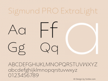 Sigmund PRO ExtraLight Version 1.000;FEAKit 1.0图片样张