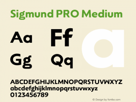 Sigmund PRO Medium Version 1.000;FEAKit 1.0图片样张