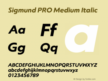 Sigmund PRO Medium Italic Version 1.000;FEAKit 1.0图片样张