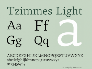 Tzimmes Light Version 1.101;PS 001.101;hotconv 1.0.88;makeotf.lib2.5.64775图片样张