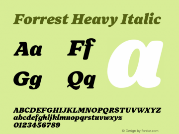 Forrest Heavy Italic Version 1.000;FEAKit 1.0图片样张