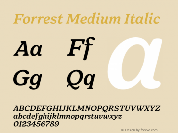 Forrest Medium Italic Version 1.000;FEAKit 1.0图片样张