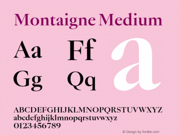 Montaigne Medium Version 1.000;Glyphs 3.2 (3185)图片样张