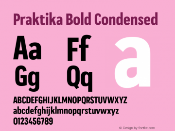 Praktika Bold Condensed Version 1.000;PS 001.000;hotconv 1.0.88;makeotf.lib2.5.64775图片样张
