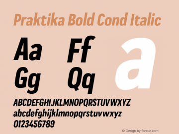 Praktika Bold Cond Italic Version 1.000;PS 001.000;hotconv 1.0.88;makeotf.lib2.5.64775图片样张