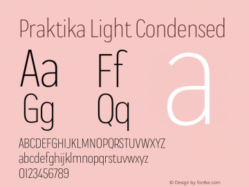 Praktika Light Condensed Version 1.000;PS 001.000;hotconv 1.0.88;makeotf.lib2.5.64775图片样张