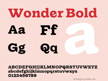 Wonder Bold Version 1.000;hotconv 1.0.109;makeotfexe 2.5.65596图片样张