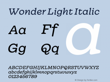 Wonder Light Italic Version 1.000;hotconv 1.0.109;makeotfexe 2.5.65596图片样张