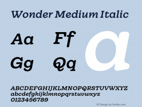 Wonder Medium Italic Version 1.000;hotconv 1.0.109;makeotfexe 2.5.65596图片样张