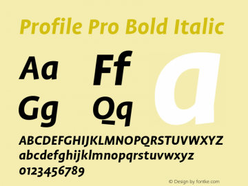 Profile Pro Bold Italic Version 1.001图片样张