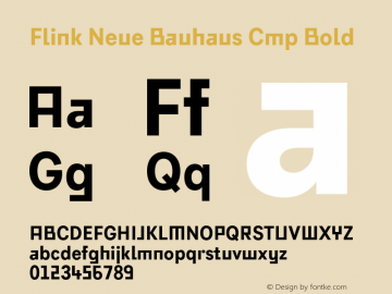 Flink Neue Bauhaus Cmp Bold Version 2.100;Glyphs 3.1.2 (3150)图片样张