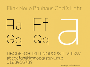 Flink Neue Bauhaus Cnd XLight Version 2.100;Glyphs 3.1.2 (3150)图片样张