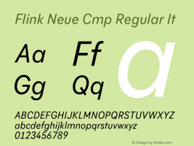 Flink Neue Cmp Regular It Version 2.100;Glyphs 3.1.2 (3150)图片样张