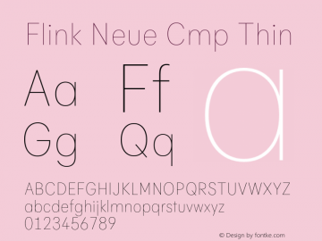 Flink Neue Cmp Thin Version 2.100;Glyphs 3.1.2 (3150)图片样张