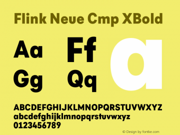 Flink Neue Cmp XBold Version 2.100;Glyphs 3.1.2 (3150)图片样张