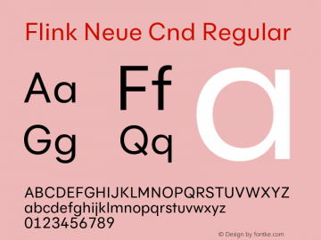 Flink Neue Cnd Regular Version 2.100;Glyphs 3.1.2 (3150)图片样张
