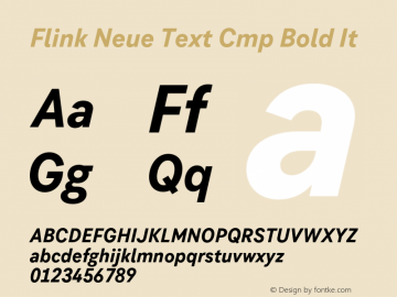 Flink Neue Text Cmp Bold It Version 2.100;Glyphs 3.1.2 (3150)图片样张