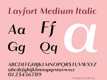 Layfort Medium Italic Version 1.000;FEAKit 1.0图片样张