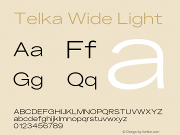 Telka Wide Light Version 2.00图片样张