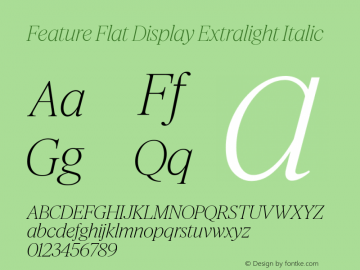 Feature Flat Display Extralight Italic Version 1.001 2022图片样张