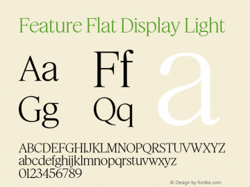 Feature Flat Display Light Version 1.001 2022图片样张