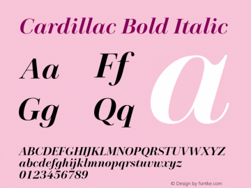 Cardillac Bold It Version 1.000图片样张