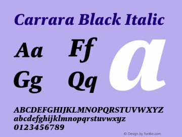 Carrara Black It Version 1.000图片样张