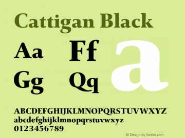 Cattigan Black Version 1.001;hotconv 1.0.109;makeotfexe 2.5.65596图片样张