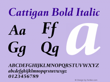 Cattigan Bold Italic Version 1.001;hotconv 1.0.109;makeotfexe 2.5.65596图片样张