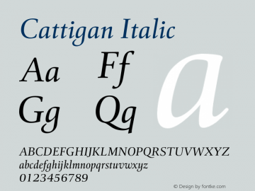 Cattigan Italic Version 1.001;hotconv 1.0.109;makeotfexe 2.5.65596图片样张