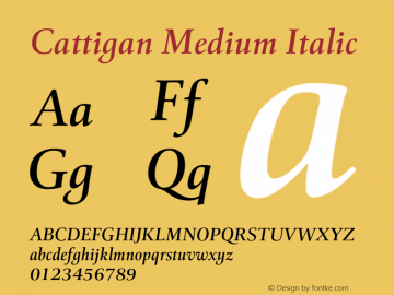Cattigan Medium Italic Version 1.001;hotconv 1.0.109;makeotfexe 2.5.65596图片样张