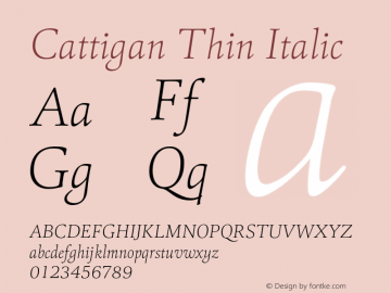Cattigan Thin Italic Version 1.001;hotconv 1.0.109;makeotfexe 2.5.65596图片样张