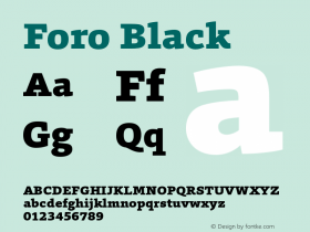 Foro-Black Version 1.000图片样张