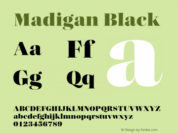 Madigan Black Version 1.000;hotconv 1.0.109;makeotfexe 2.5.65596图片样张