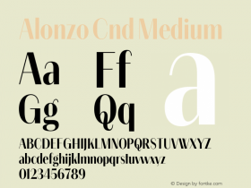 Alonzo Cnd Medium Version 1.000;hotconv 1.0.109;makeotfexe 2.5.65596图片样张