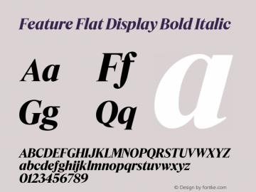 Feature Flat Display Bold Italic Version 1.001 2022图片样张
