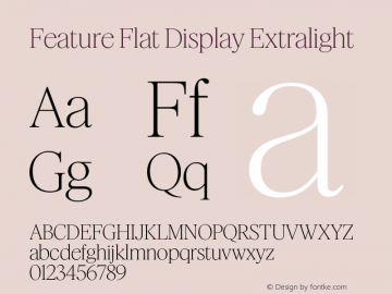 Feature Flat Display Extralight Version 1.001 2022图片样张