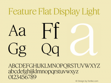 Feature Flat Display Light Version 1.001 2022图片样张