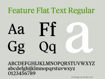 Feature Flat Text Regular Version 1.001 2022图片样张