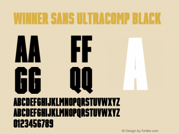 Winner Sans UltraComp Black Version 1.105图片样张