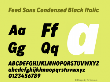 Feed Sans Condensed Black Italic Version 2.002;hotconv 1.0.109;makeotfexe 2.5.65596图片样张